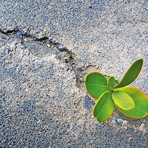 Inklusion: Fragmentarisch leben lernen Inklusion: Fragmentarisch leben lernen